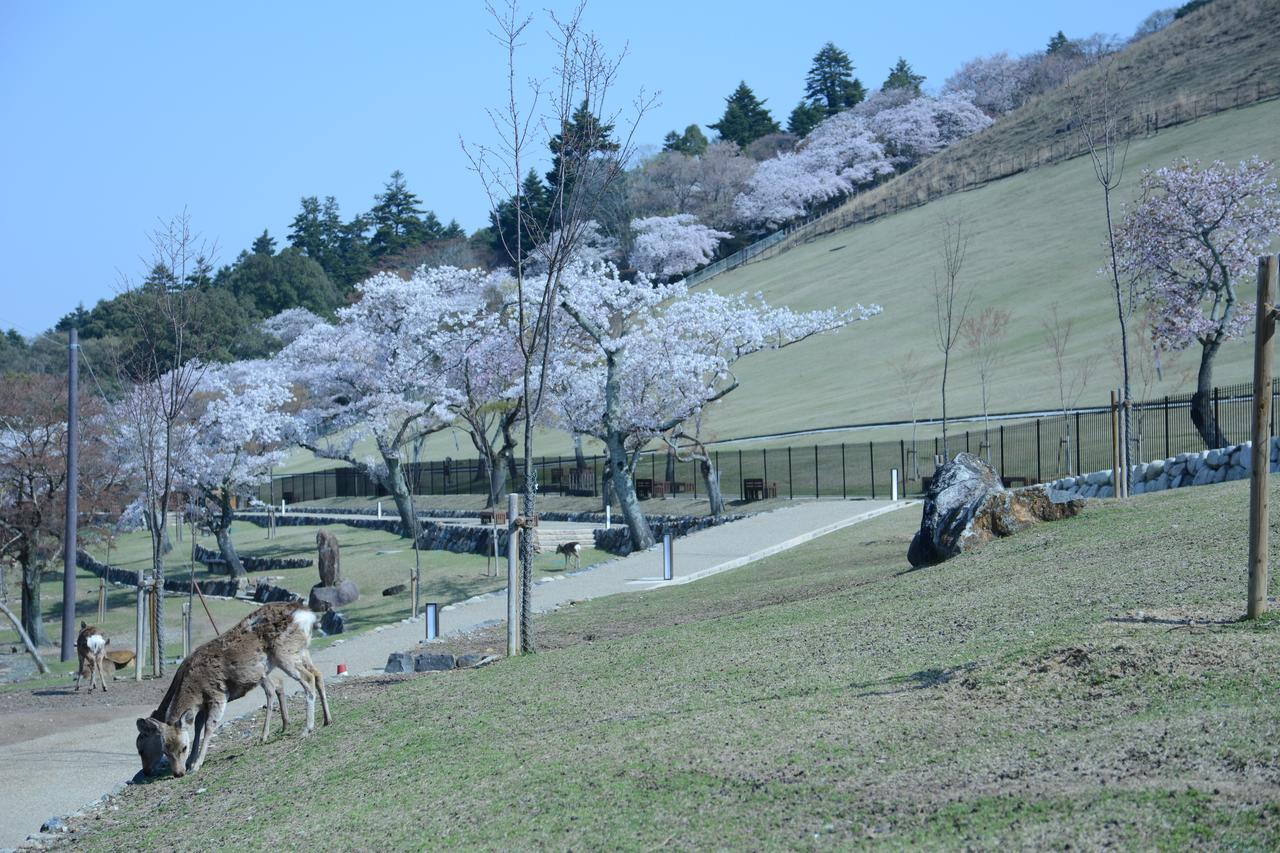 Mountain Home Lodge In Deer Park Nara Ngoại thất bức ảnh